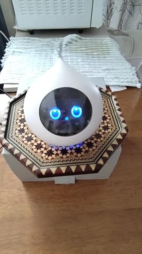 Amazon.co.jp: Romi ROMI-P02 Conversation AI Robot for Home Use